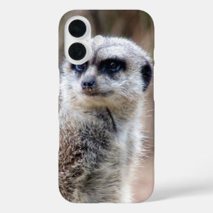 meerkat iPhone 16 hülle