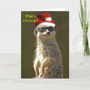Meerkat Christmas Card Feiertagskarte