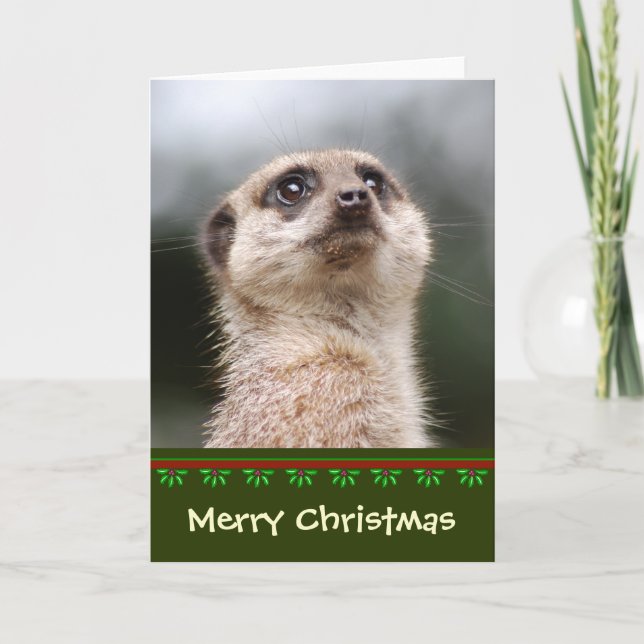 Meerkat Christmas Card Feiertagskarte (Vorderseite)