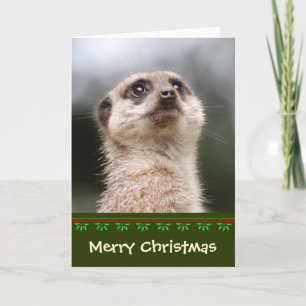 Meerkat Christmas Card Feiertagskarte