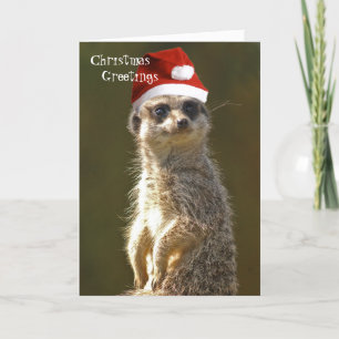 Meerkat Christmas Greetings Card Feiertagskarte