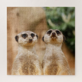 Meerkat Couple 003 Puzzle