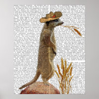 Meerkat Cowboy
