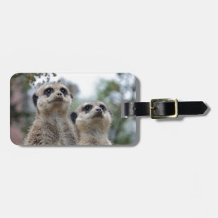 Meerkat - Dreamtem Gepäckanhänger