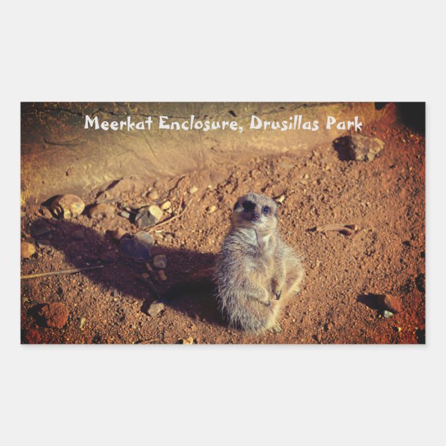 Meerkat Enclosure, Drusillas Park Sticker (Vorderseite)
