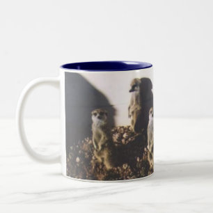 Meerkat Familie Zweifarbige Tasse