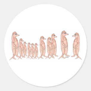 Meerkat Family Sticker