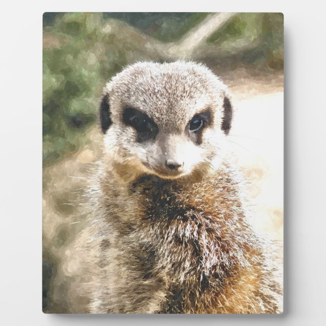 MEERKAT FOTOPLATTE (Vorderseite)
