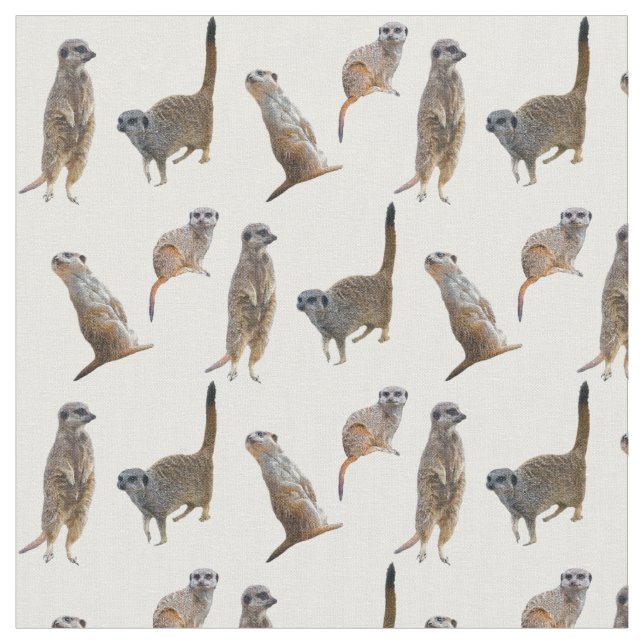 Meerkat Frenzy Fabric (Farbe auswählen) Stoff (Nahaufnahme)