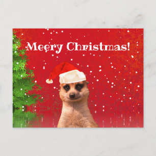 Meerkat Frohe Weihnachten Weihnachten Weihnachten  Postkarte