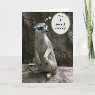 Meerkat Geburtstagskarte Karte