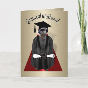 Meerkat Graduate Karte