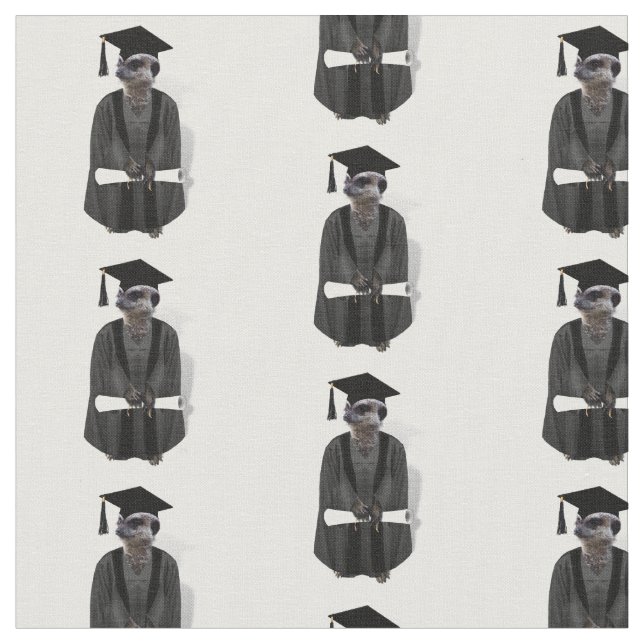Meerkat Graduate mit Diplom Stoff (Nahaufnahme)