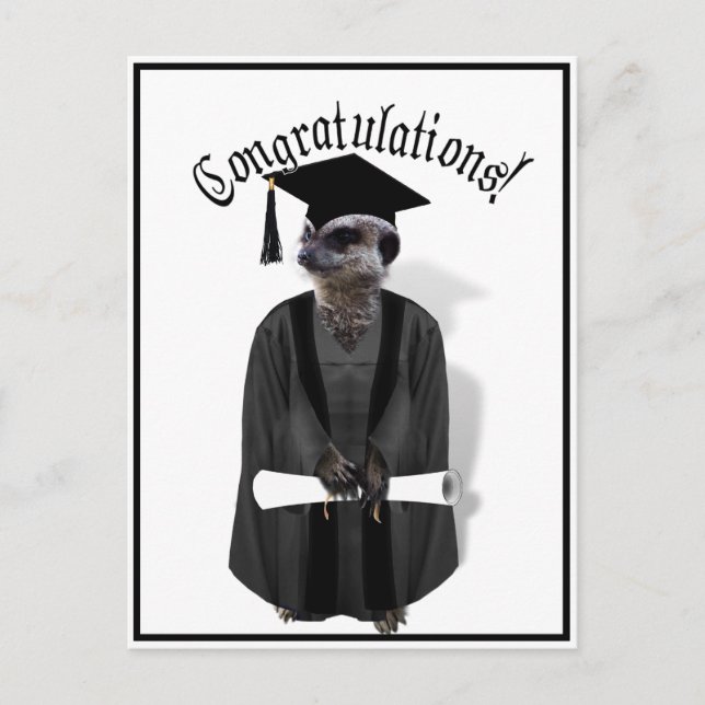 Meerkat Graduate W/Gray Gown & Black Sash Postkarte (Vorderseite)