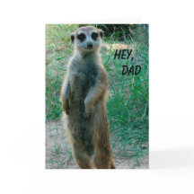 Meerkat Happy Vatertag