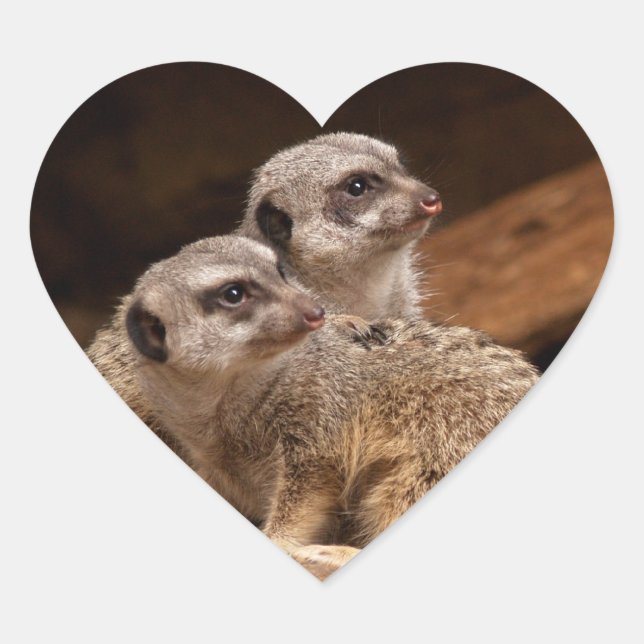 Meerkat Heart Sticker (Vorderseite)