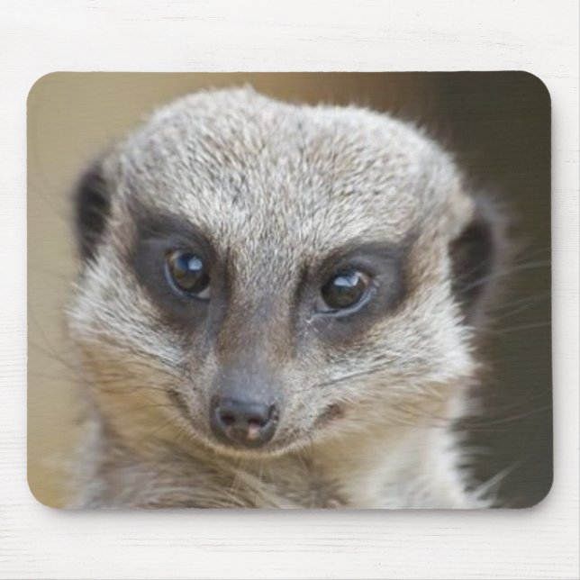 Meerkat herauf nahes mousepad (Vorne)