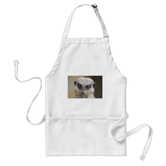 Meerkat herauf nahes schürze (Vorne)
