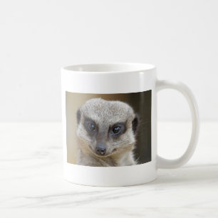 Meerkat herauf nahes tasse