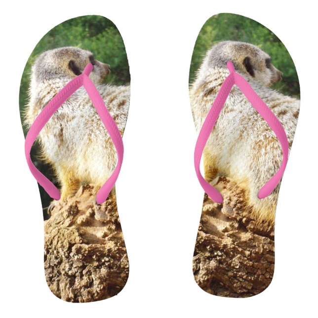 Meerkat I Spy, Flip Flops (Fußbett)