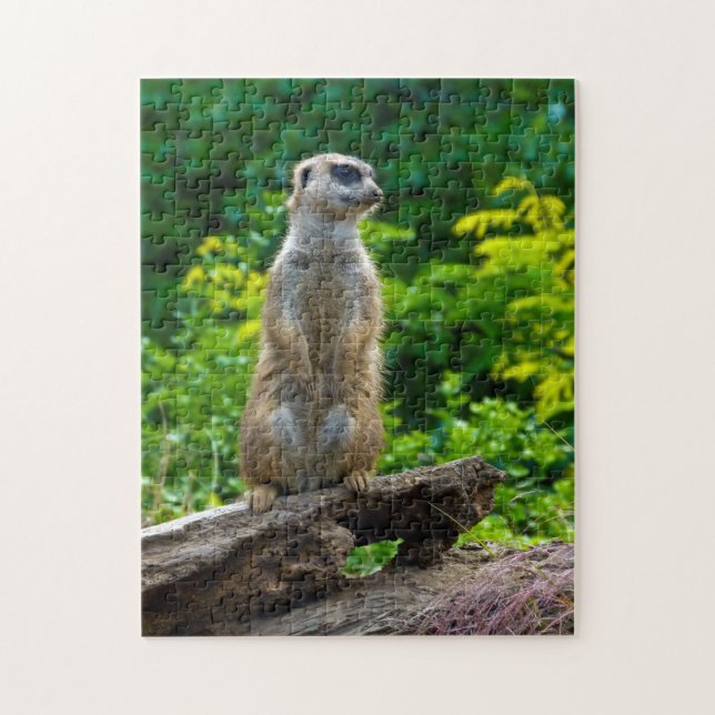 Meerkat im Jigsaw-Puzzle Puzzle (Vertikal)