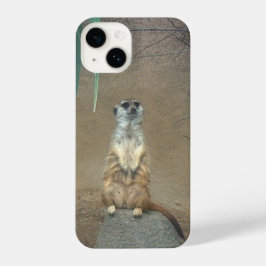 Meerkat iPhone Case iPhone 14 Hülle