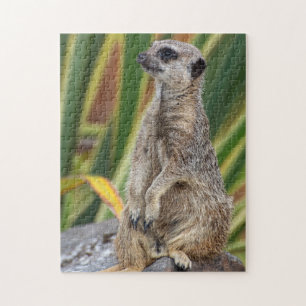 Meerkat Jigsaw Puzzle