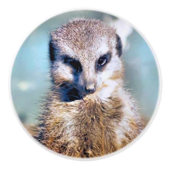 MEERKAT KERAMIKKNAUF (Vorderseite)