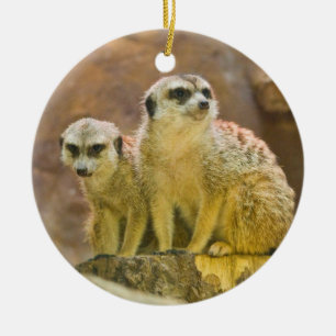 meerkat keramikornament