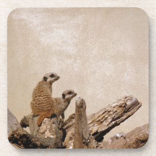 Meerkat Lookout Getränkeuntersetzer