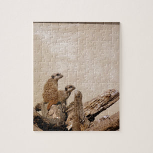 Meerkat Lookout Puzzle