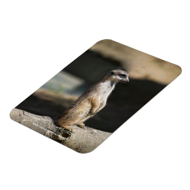 Meerkat Magnet (Linke Seite)