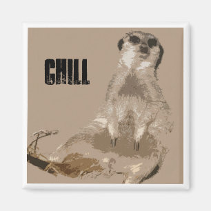 meerkat magnet