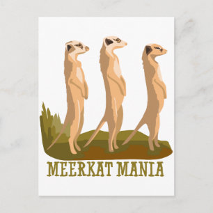 Meerkat Mania Postkarte