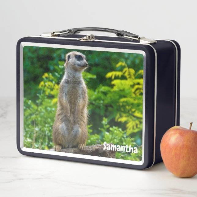 Meerkat Metal Lunchbox (Beispiel)