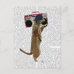 Meerkat mit Boom Box Ghetto Blaster 2 Postkarte