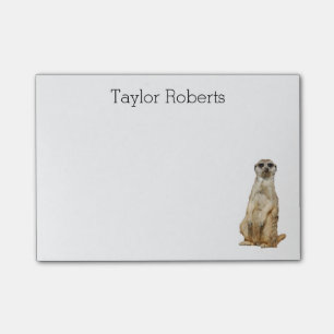 Meerkat mit Ihrer Namensgewohnheit Post-it Klebezettel
