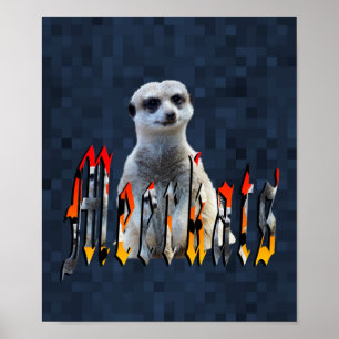 Meerkat mit Meerkats-Logo, Poster