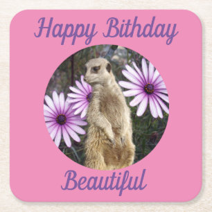 Meerkat mit Milchprodukten, Untersetzer zum Geburt