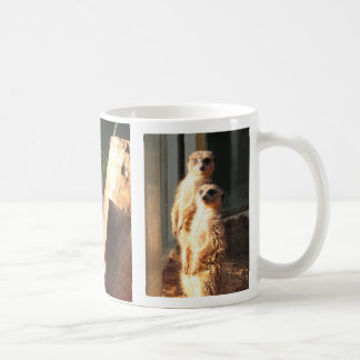 Meerkat Morgen Tasse