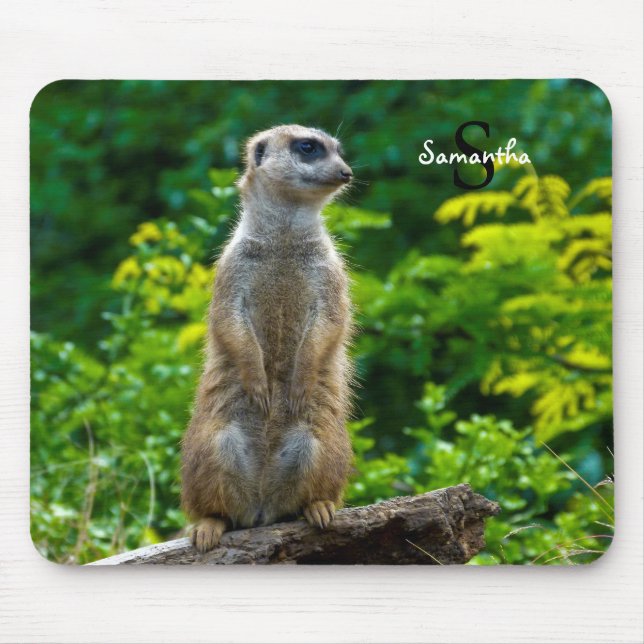 Meerkat Mouse mat Mousepad (Vorne)