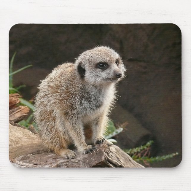 Meerkat Mousepad (Vorne)
