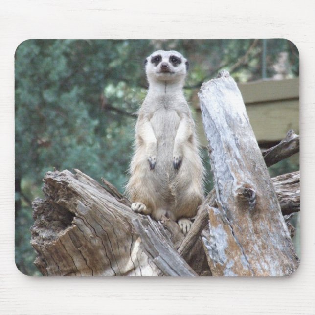 Meerkat Mousepad (Vorne)