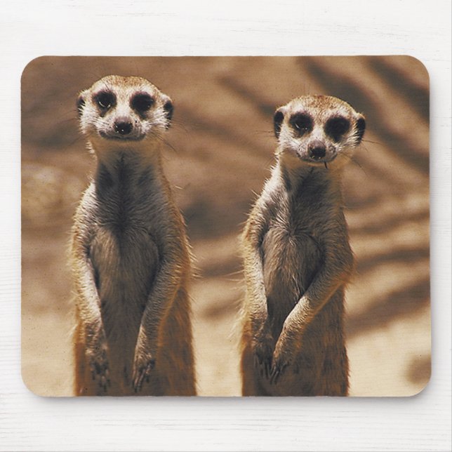 Meerkat mousepad (Vorne)