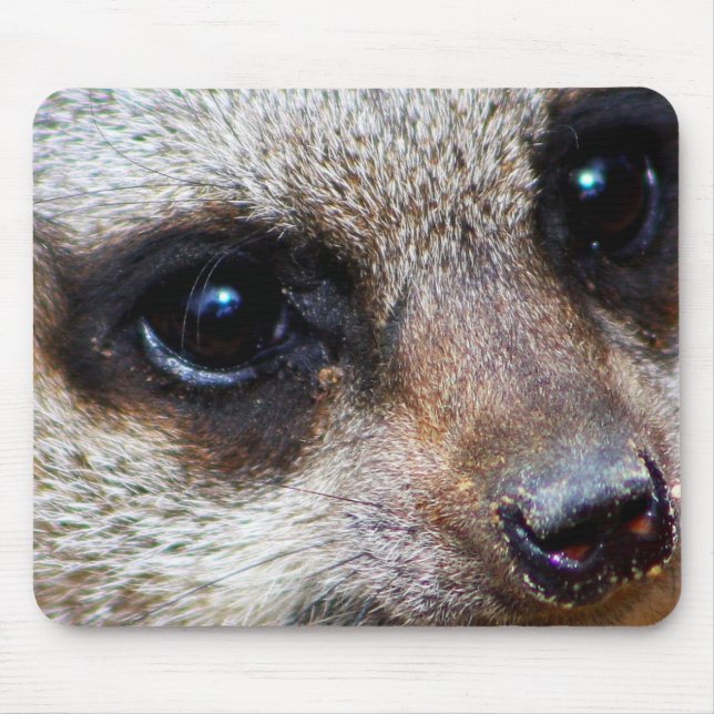 Meerkat Mousepad (Vorne)