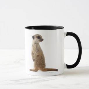 Meerkat oder Suricate - Suricata suricatta Tasse