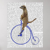 Meerkat On Blue Penny Farthing