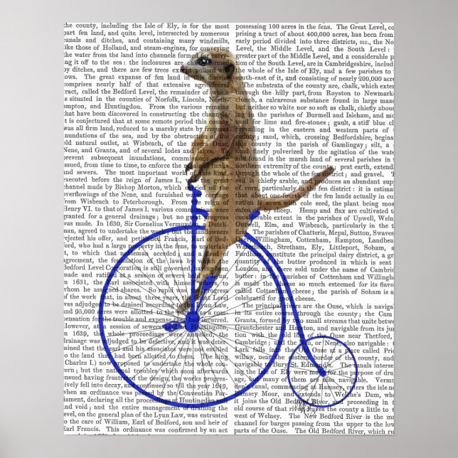 Meerkat On Blue Penny Farthing Poster (Vorne)