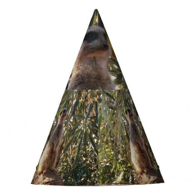 Meerkat on Guard Duty, Party Hat Partyhütchen (Vorderseite)