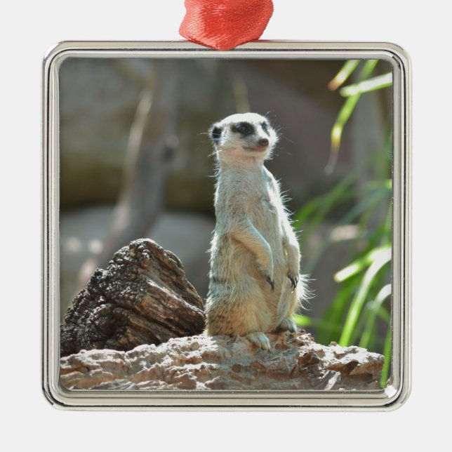 Meerkat Ornament Aus Metall (Vorne)